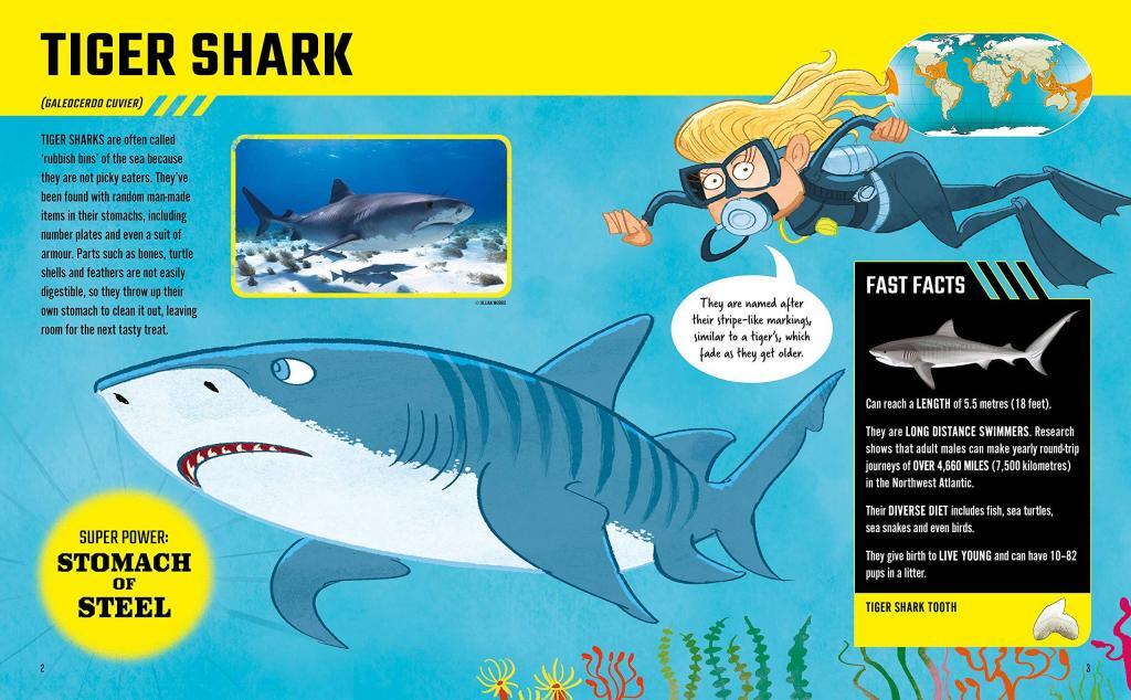 Shark Super Powers by Jillian Morris & Duncan Brake - our review