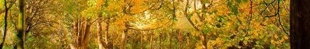 Autumn books for children Autumn topic books for children