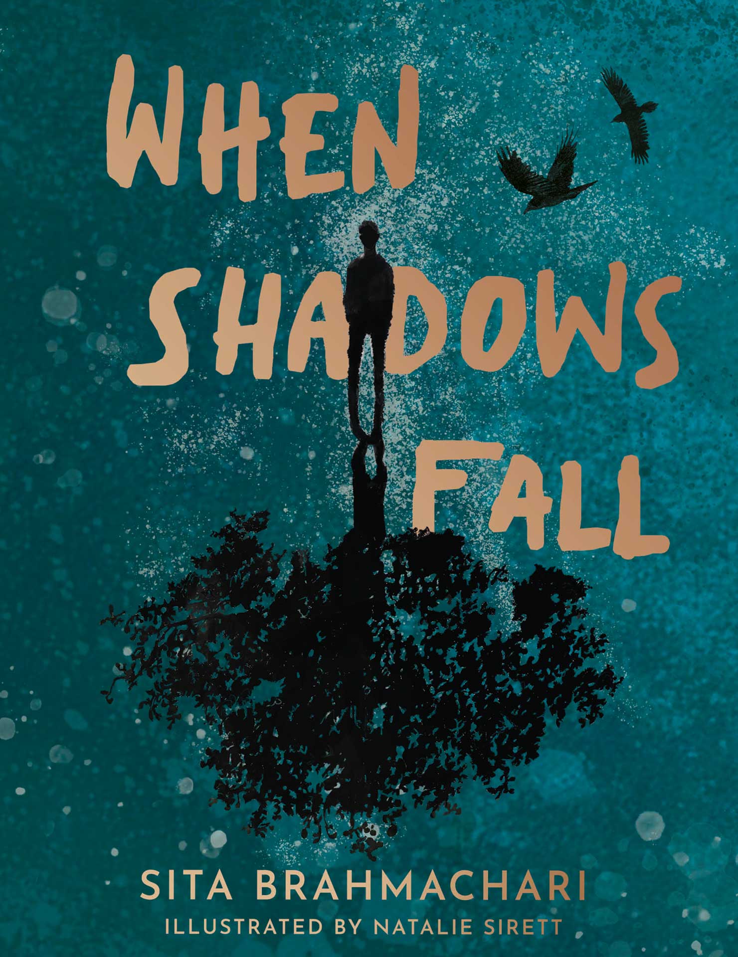 When Shadows Fall by Sita Brahmachari School Reading List