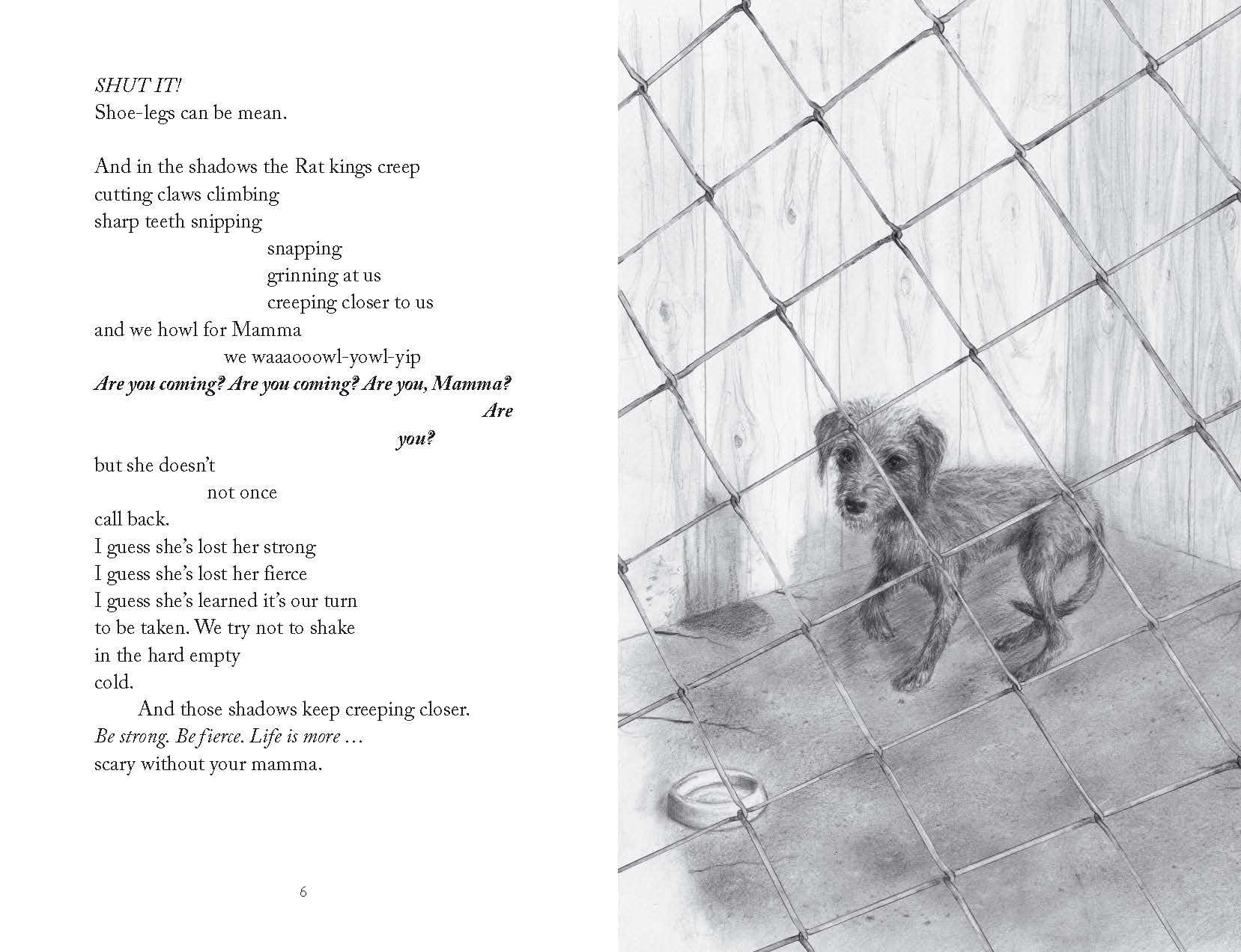 The Way of Dog by Zana Fraillon spread 1