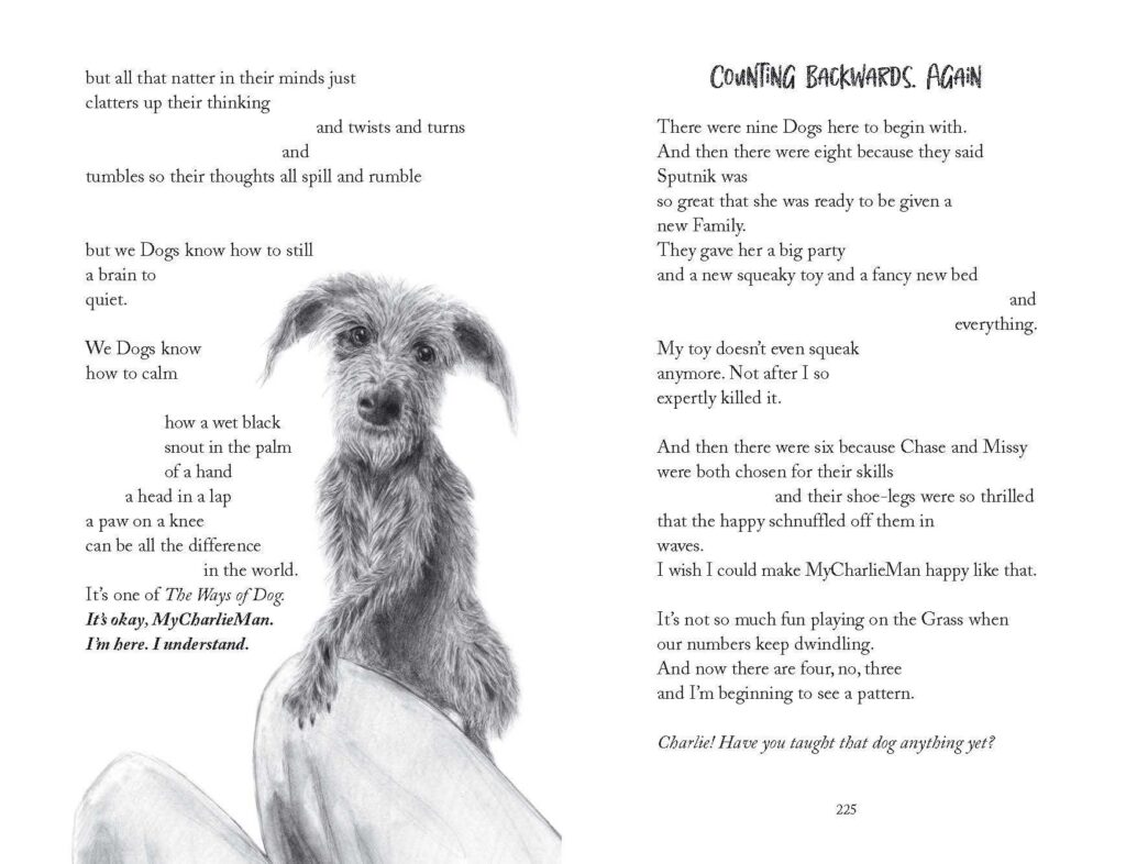 Captivating The Way Of The Dog Capture in HD Captivating The Way Of The Dog Capture in HD