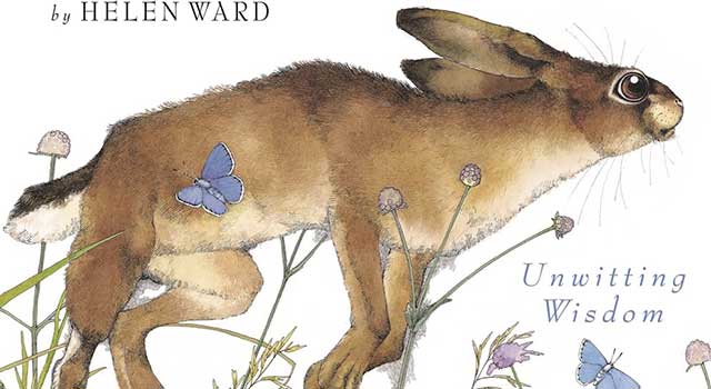 An Anthology of Aesop’s Animal Fables by Helen Ward