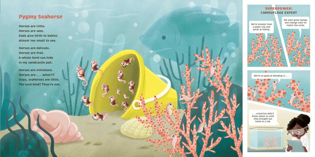 dwarf lantern shark octonauts dwarf lantern shark octonauts