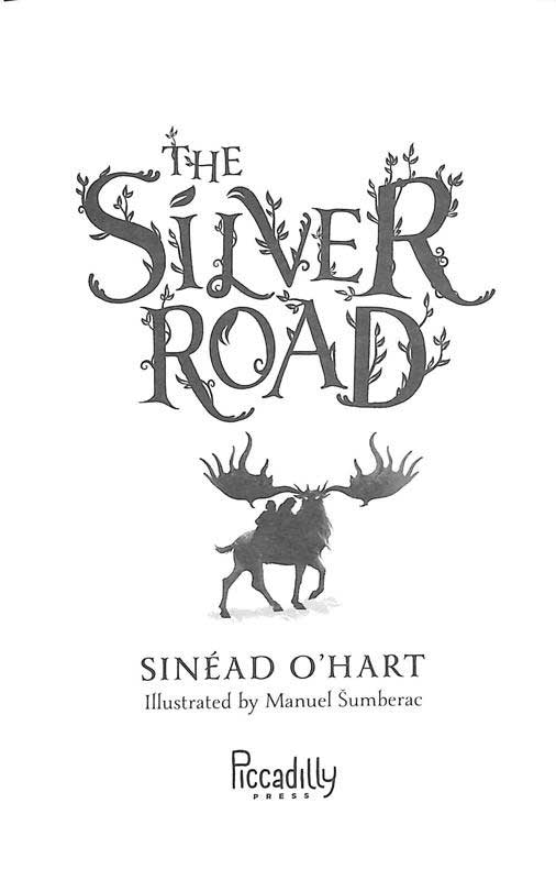 The Silver Road by Sinéad O’Hart