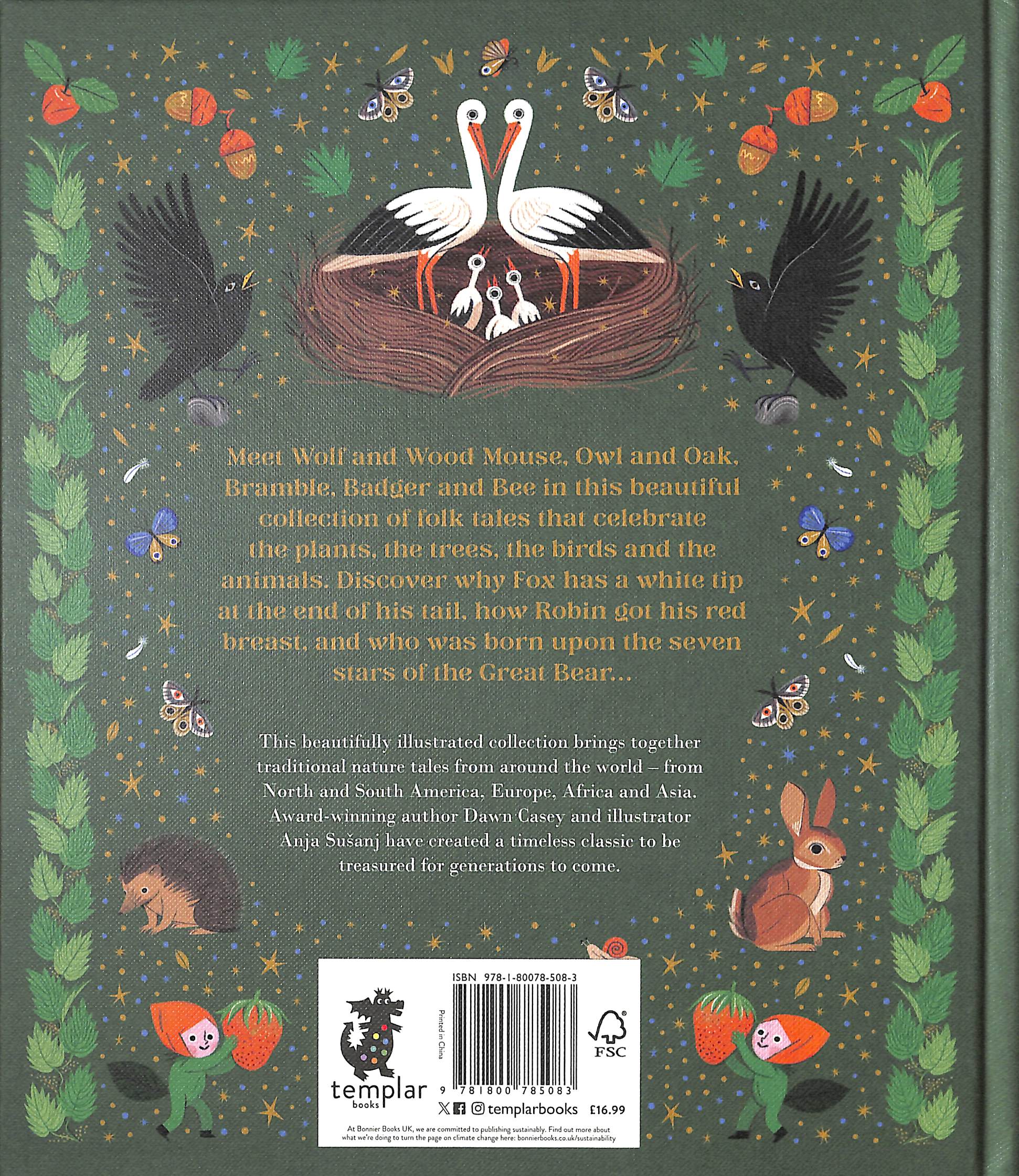 Nature Tales: An Anthology of Seasonal Stories from Around the World by Dawn Casey