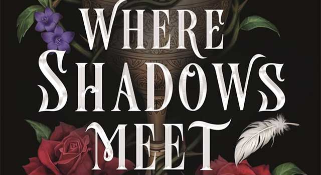 Where Shadows Meet by Patrice Caldwell