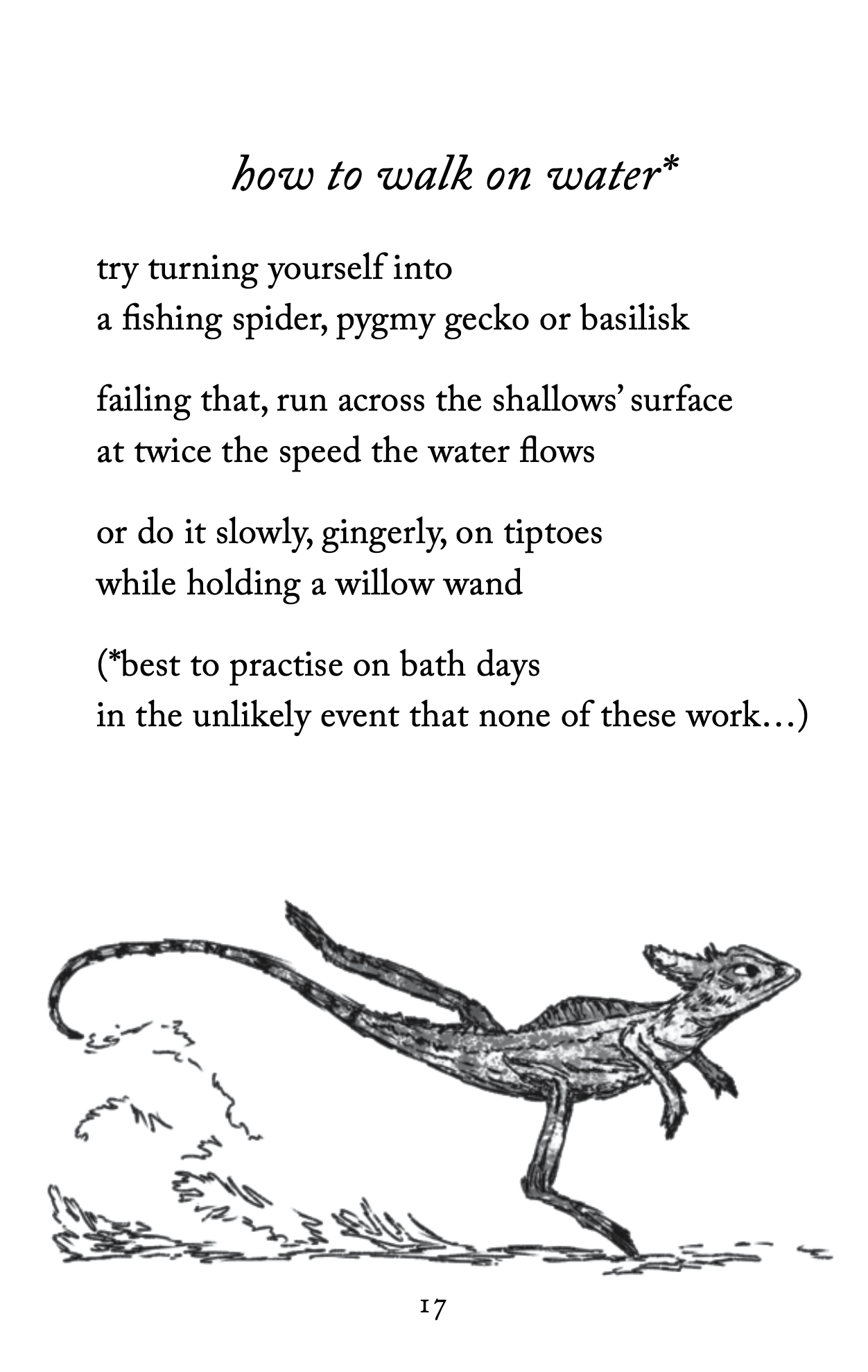 Poems from a Witch’s Pocket by Laura Theis, illustrated by Kate Lucy Foster