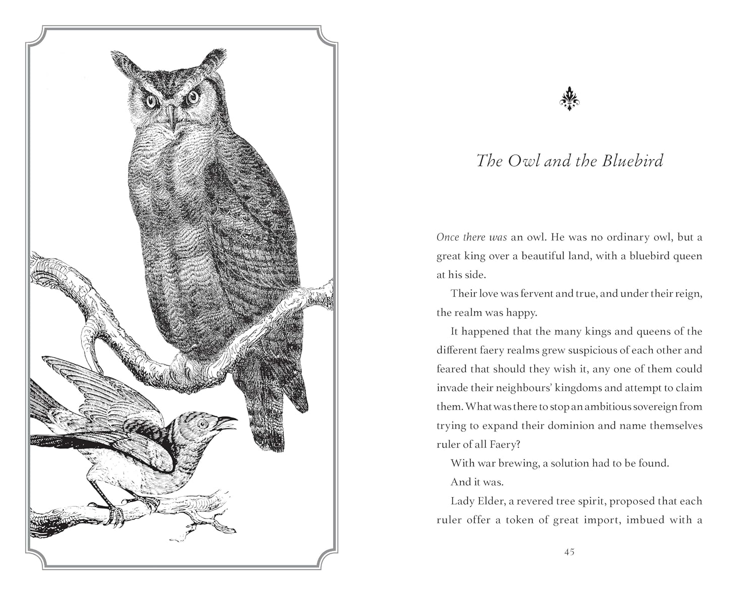Owl King by Bex Hogan