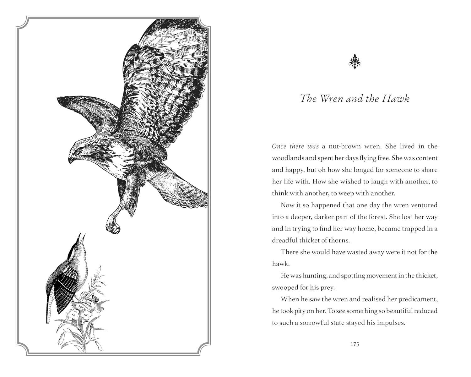 Owl King by Bex Hogan