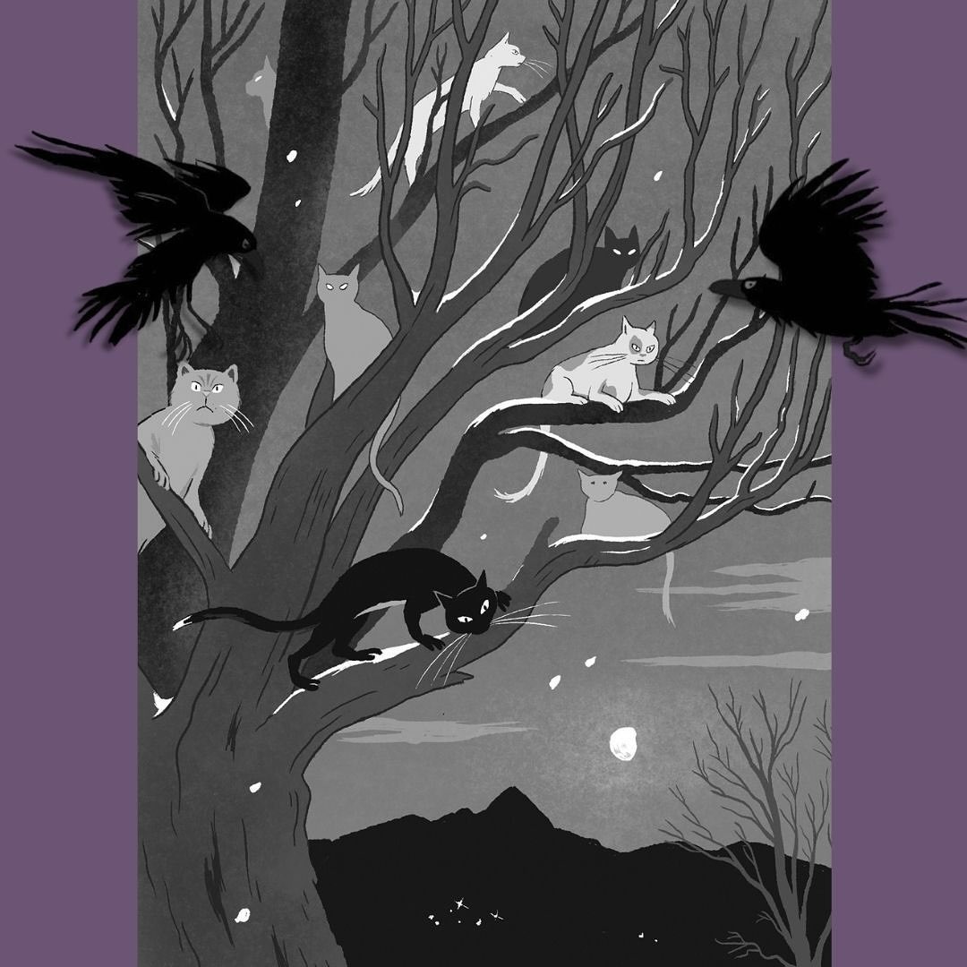 My Cat is Called Odin by Francesco Bedini, illustrated by Stefano Tambellini