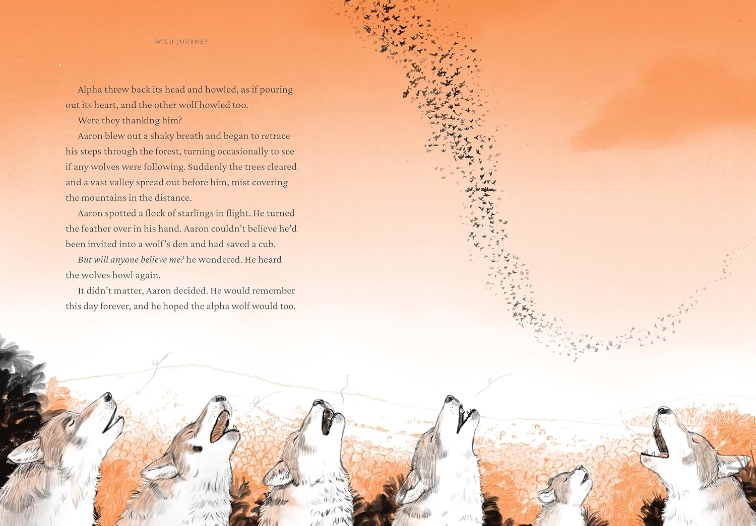 Wild Journey by A. M. Dassu, illustrated by Joe Lillington