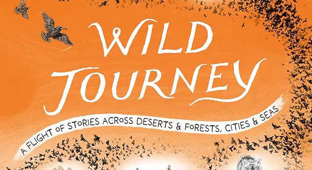 Wild Journey by A. M. Dassu, illustrated by Joe Lillington
