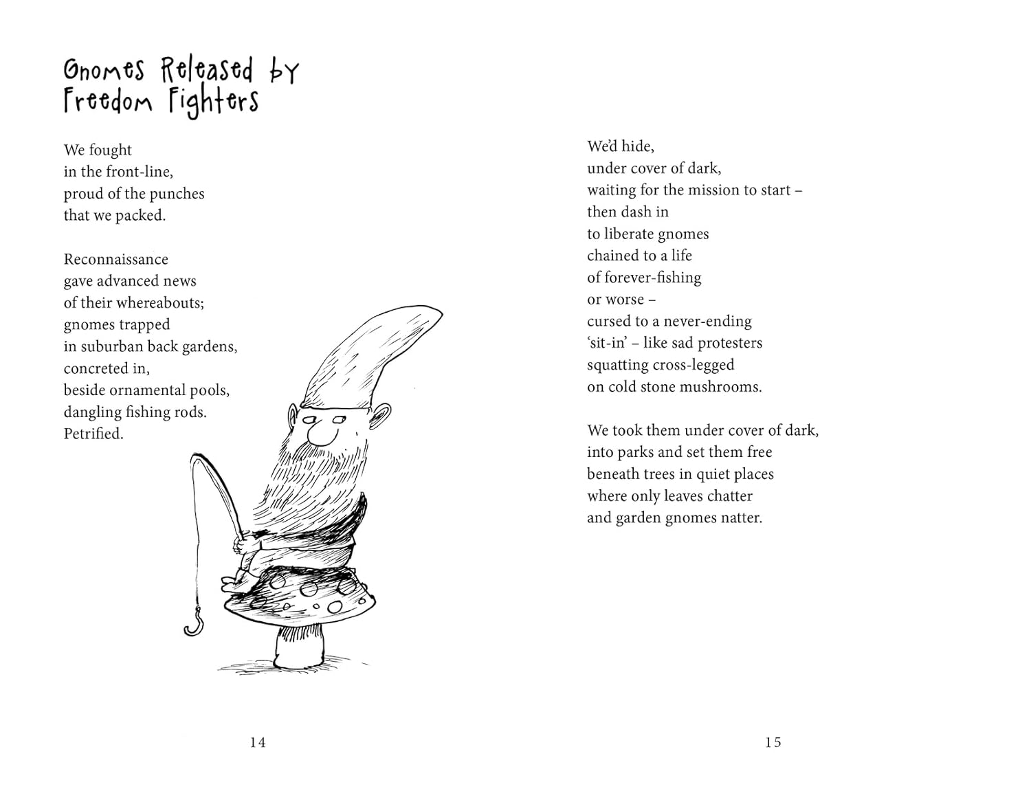 Dragon Cat by Pie Corbett, illustrated by Tom Morgan-Jones