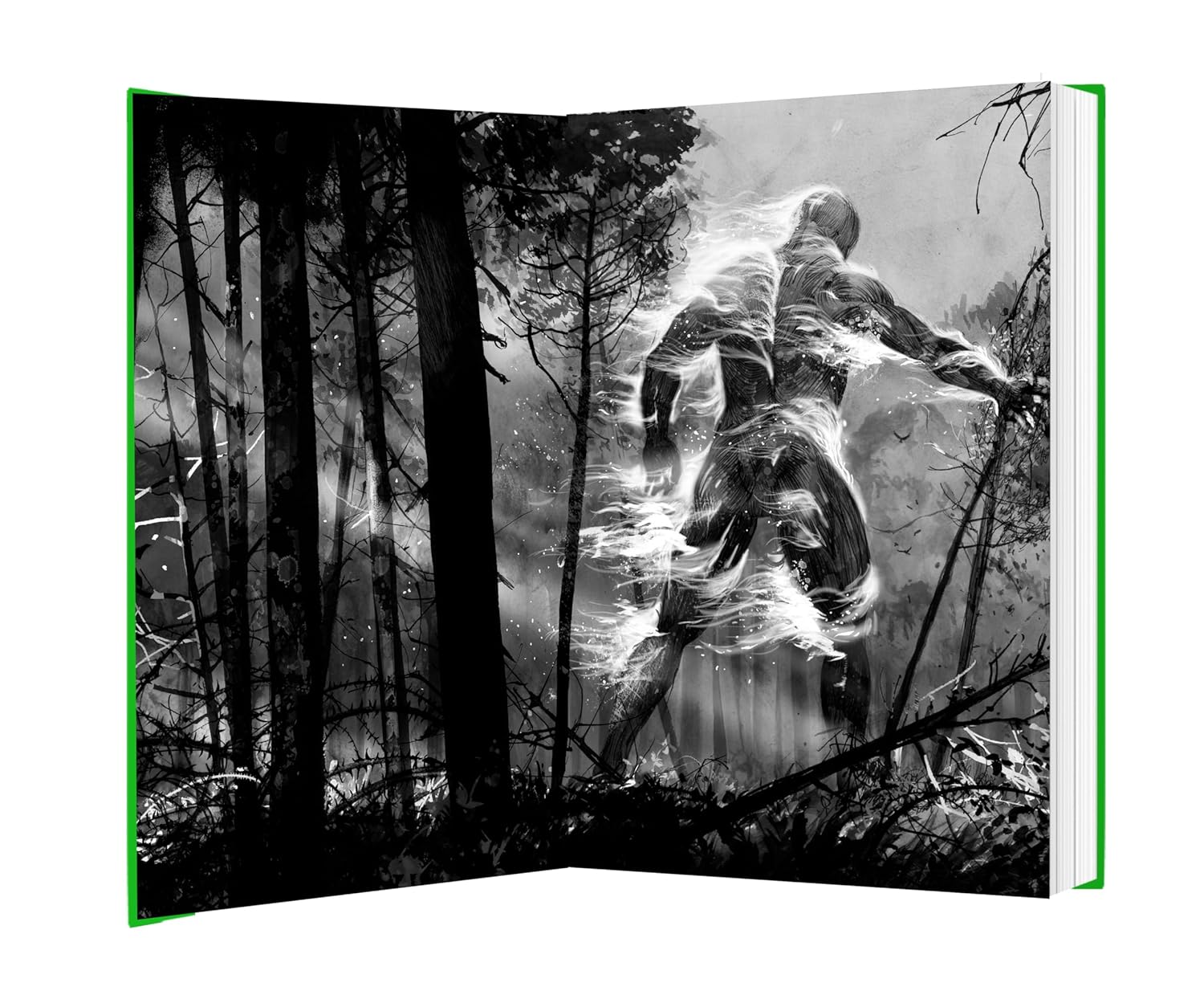 Piper at the Gates of Dusk by Patrick Ness