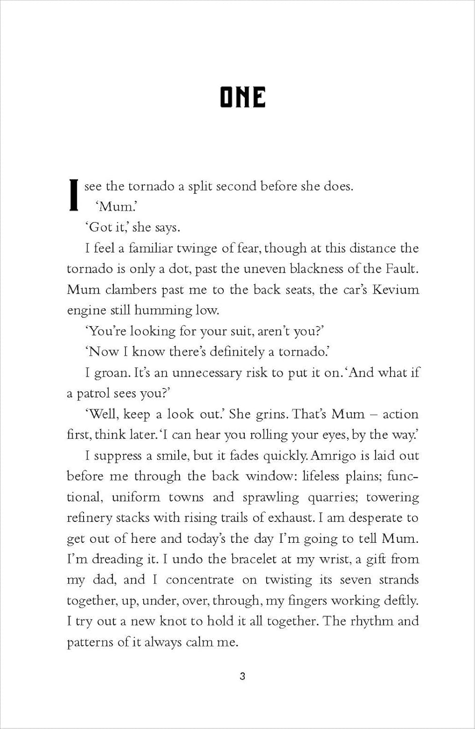 Storm Bringer by Tig Wallace