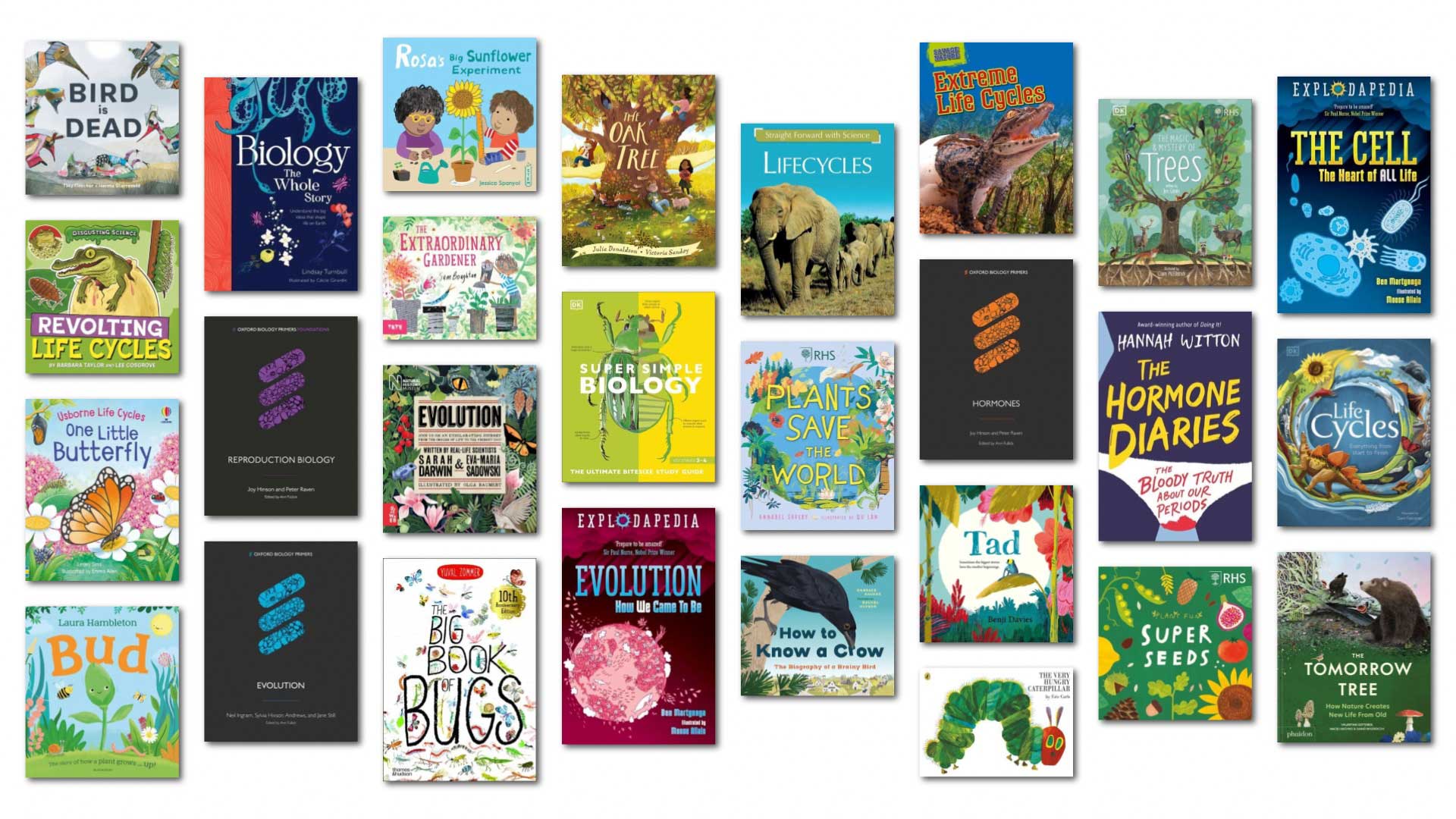Life cycle books for children and teens | School Reading List