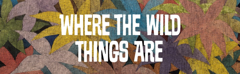 Where the Wild Things Are by Maurice Sendak